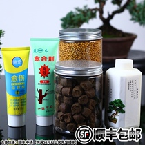 Bonsai fertilizer Jade fertilizer fertilizer granular fertilizers made from organic water soluble fertilizer General Fertilizer Plant wound healing agent White
