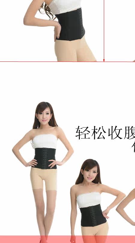 Body abdomen - Ref 668241 Image 25