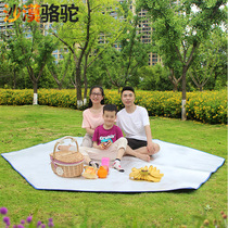 Hexagonal aluminum film moisture-proof mat 240*240 330*330 368*368 picnic mat insulated picnic outdoor mat