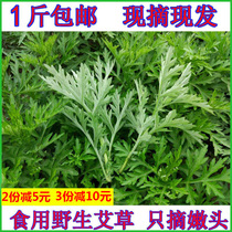 Fresh agrass leaves edible wild raw and tender Eyleaf grass Ai Artemisia Glutinous Rice Cake Glutinous Rice Cake Clear Grass Raw Eiba Leaf Green Group Materials