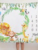 Baby photography commemorative digital blanket baby flannel blanket elephant giraffe baby photography commemorative background blanket