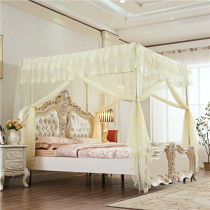 Add coarse thickened bracket palace stainless steel floor type mosquito net triple door square top encrypting princess double home