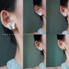 Shell Butterfly Earrings Women's Niche Design Women's Earrings 2024 New High-end Cool Fairy Earrings