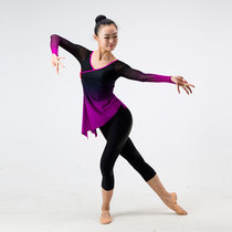 Classical dance body rhyme practice suit Female adult dance yarn dress long sleeve gradient color top Teacher performance suit Chinese dance