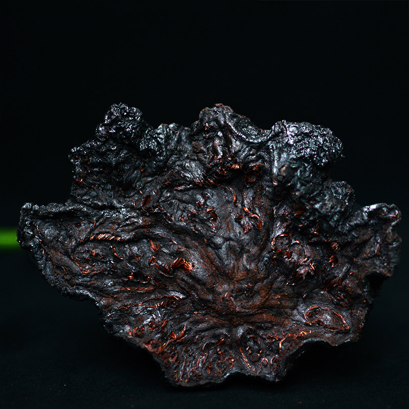 Around 80 years of growth, wild Polygonum multiflorum Thunb. Ancient traditional processing of nine steamed nine sun-dried red core Polygonum multiflorum blood Polygonum multiflorum