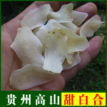 Guizhou alpine selected wild lily slices sweet lily dry slice white synthetic dry without sulphur lily dry sheet 500 gr