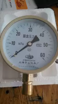 Bellows pressure gauge M20 * 1 5 running-in gauge bellows pressure gauge radial YE100 YE150