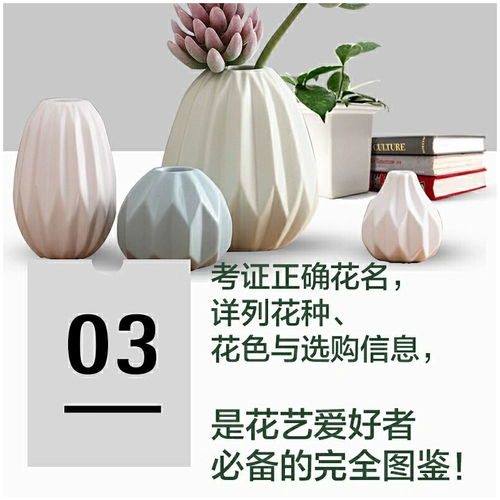 2 тома все - цветочный художник + полная коллекция цветочных материалов. Обновленная версия. Вырезать и сухие цветы. Методы комбинации цветов для ветвей, листьев, фруктов и учебных пособий по дизайну цветов. Книги Домашняя мебевка цветочных техник. Места для отделки внутренних дел.