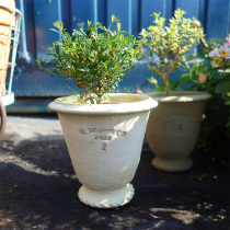 Red Pottery Green small trophy basin European style vintage green braid small basin breathable desktop Basin