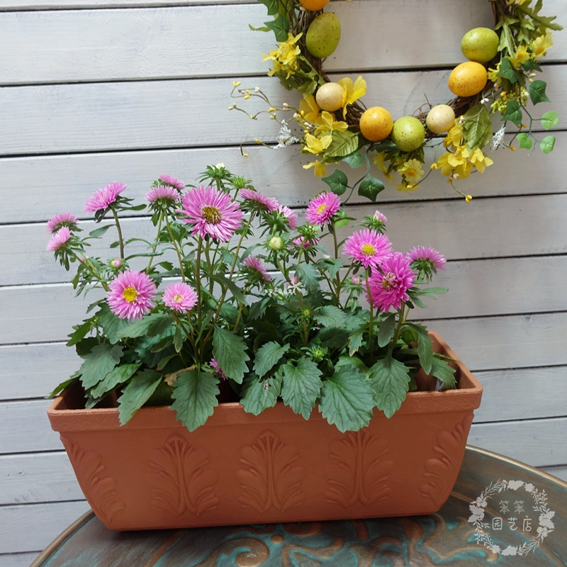 Купить Цветочный горшок Пластиковый прямоугольный цветочный горшок ...