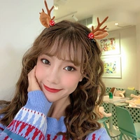 Верблюд гриб