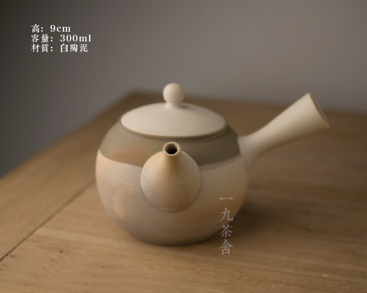 Side of Japanese checking ceramic teapot household teapot large - capacity single pot of kung fu tea tea tea kettle