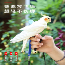 Parrot put flying rope ultralight harness style without injury foot training tiger leather peony Xuanfeng Bird Traction Flight God