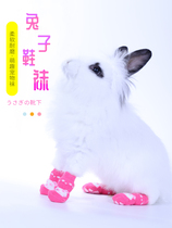 Rabbit Supplies Pet Rabbit Socks Clothing Little Rabbits groceries Dutch pig pooch Kitty Universal