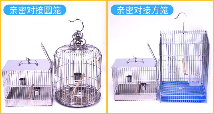 Chim sáo lồng chim lớn tưa lưỡi 鹩 vẹt hoa mẫu đơn thêu mắt bằng thép không gỉ lồng chim - Chim & Chăm sóc chim Supplies lồng choè đất