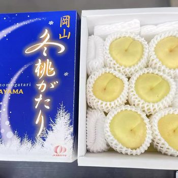 Okayama winter peach okayama okayama peach