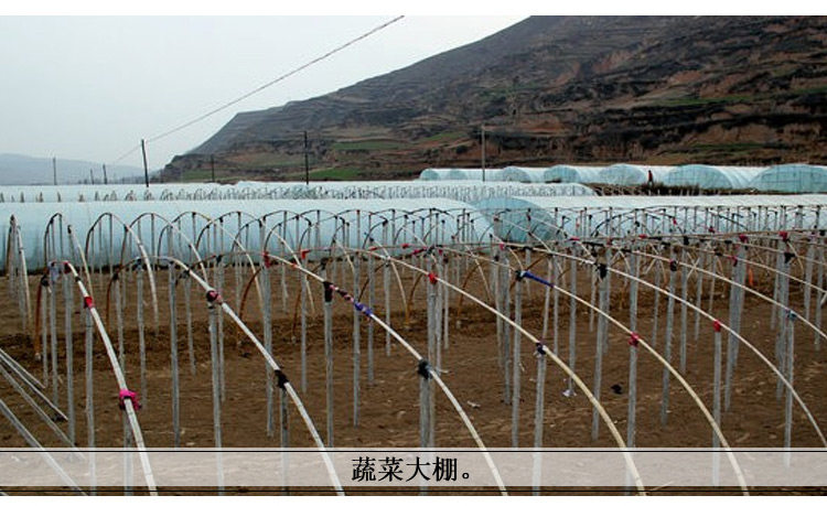 用竹子做大棚,用竹子做简易大棚,用竹子搭建大棚(第10页)_大山谷图库