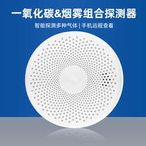Carbon monoxide smoke alarm two-in-one household indoor furnace coal smoke anti-co poisoning kitchen detector