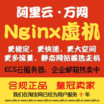 Alibaba Cloud (Wanwang)Nginx Shared exclusive web hosting Web space Channel basic economy Advanced increase