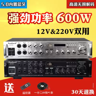600W power amplifier Household 220V professional stage high-power radio K song Car 12V Bluetooth subwoofer power amplifier