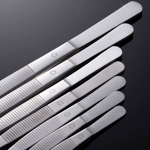 Расширение бабушки, сочная, кормила рыба, трава и карп, толстый клип -инструмент, черепахи кормит из нержавеющей стали большую щепотку