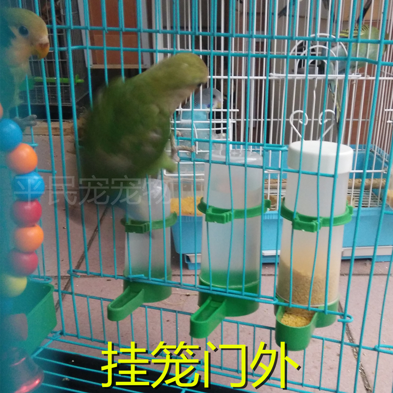 Pigeon Parrot Tự động uống Fountain Nguồn cung cấp chim Chim bồ câu trung chuyển Ấm đun nước Pot Pot Hộp thức ăn lớn - Chim & Chăm sóc chim Supplies cám cút đẻ