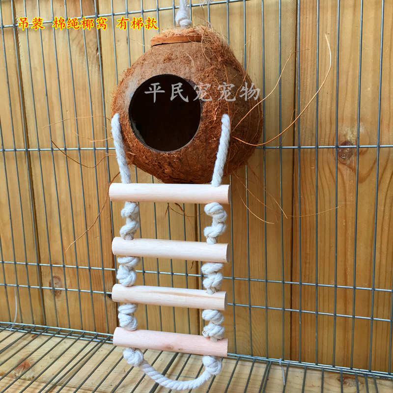 Tổ yến sò dừa tổ cỏ hoa mẫu đơn da hổ nuôi tổ yến nhỏ và vừa vẹt mật ong cung dừa - Chim & Chăm sóc chim Supplies lồng choè lửa