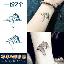 Juice herbal little tiger tattoo stickers Waterproof female long lasting small fresh couple tattoo stickers ins wind