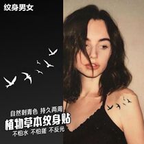 (Tattoo men and women) hipster swallows clavicle herbal juice tattoo stickers sexy ins Wind long lasting