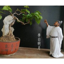 Li Bai Mingyue Ceramic Crafts Ornaments Bonsai Garden Gardening Home Living Room Study Classical Character Ornaments