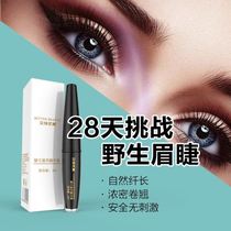 Beimei eyelash growth liquid eyebrows female nourishing hairline fast growing slim thick curl