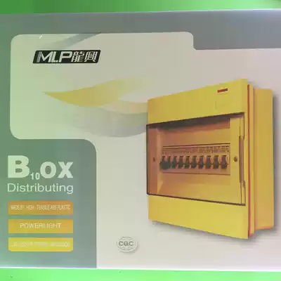 Longxing distribution box B10 circuit leakage circuit, strong electric air Switch Lighting cloth box