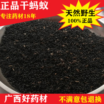 Chinese herbal medicine Wild black ant dried quasi-black spiny ant brewing wine grinding Black ant powder Mountain ant 500g grams