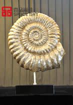 Abstract sculpture ornaments resin shell decoration art crafts accessories home decoration living room