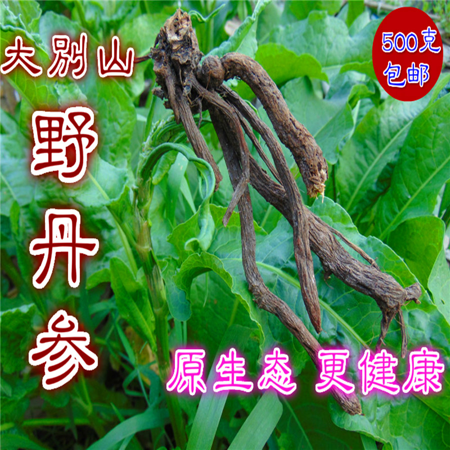 (Dabie Mountain Wild Purple Salvia) Farmhouse original strip danshen purple salvia sulfur-free 500g can be sliced