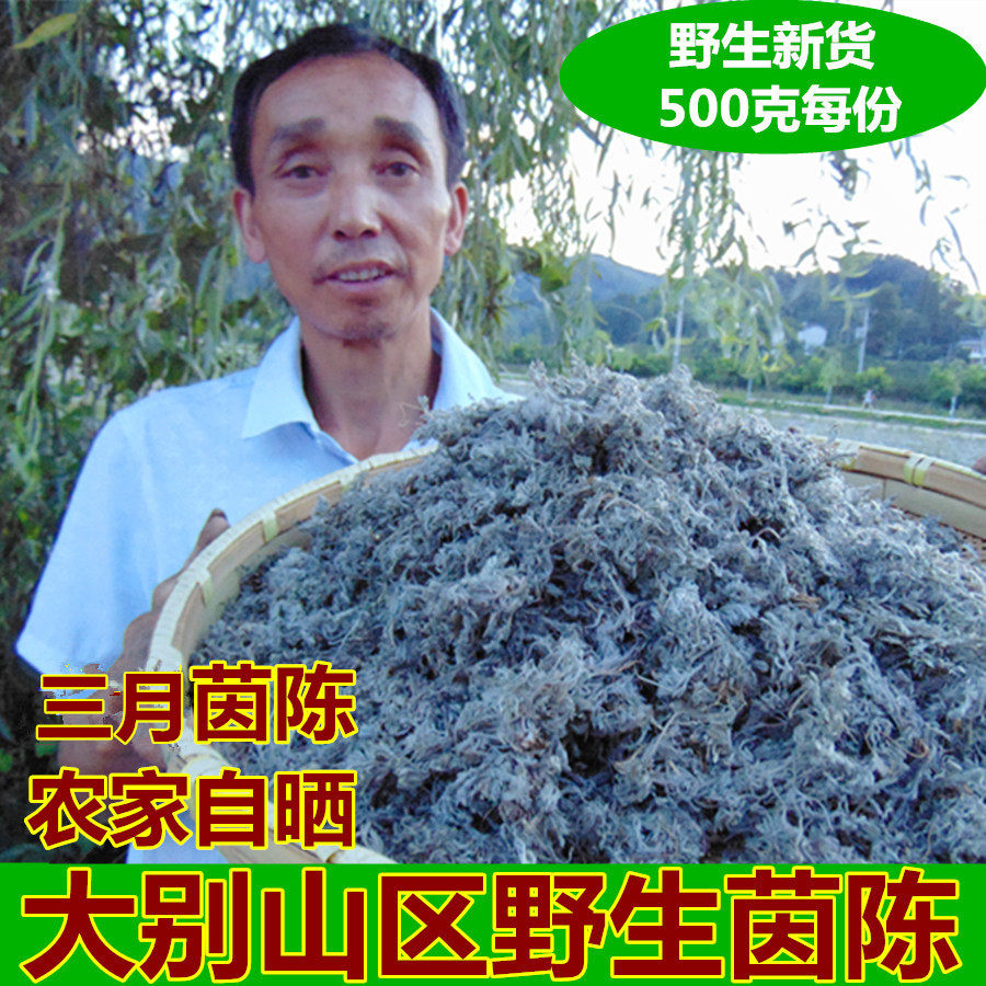 (Dabie Mountain new goods) 500g Bai Song fresh wild Yin Chen herbal Tea Chinese herbal medicine gloomy cotton Yin Chen