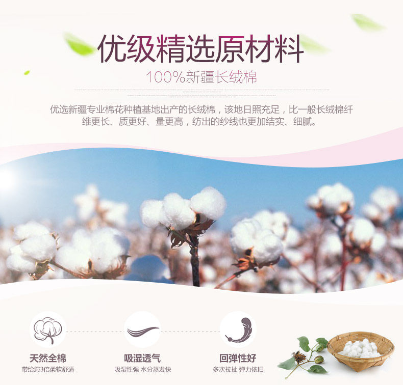 Slip Moyen-âge TOPNEW 130-9586 en coton - Ref 642080 Image 7