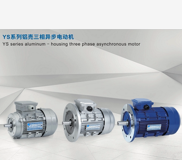 GS MS YE2 YS Y90S 90L 100L1 100L2 112 132-2 4 6 three-phase national standard motor
