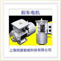 Brake motor YEJ7116 7126 7136 8016 8026 9012 90S-6 90L-6 100L-6