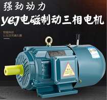 YEJ8016 8026 90S 90L 100L112M132L160M180-6 Brake brake motor Spot