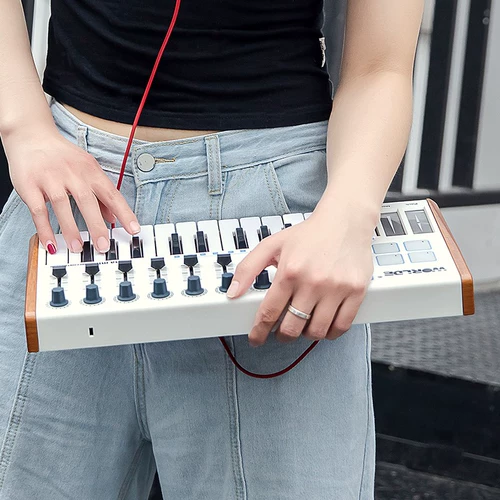 Worlde-Pandamini25 Key Midi-клавиатура для удара по Pad Music Аранжировка клавишной электро-музыки контроллер флейты