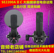 Yisheng Feiyang licensed SE 2200 large diaphragm professional recording condenser microphone spot