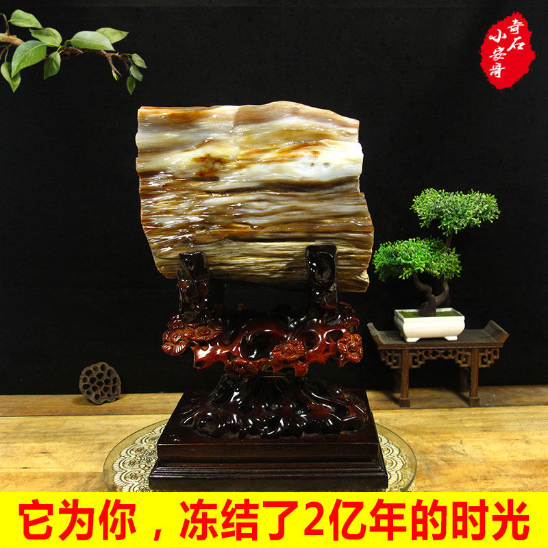 Natural Saphenization Jade Raw Stone Wood Fossil Tourist Stone Living Room Genguan Decoration Original Stone Pendulum Piece Opening Giao Gift