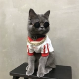 Кошачья одежда маленькая собака бишон питомец осень и зимняя одежда голубая кошачь