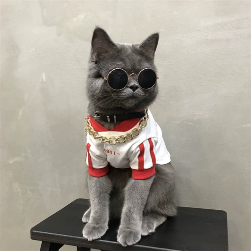 Кошачья одежда маленькая собака бишон питомец осень и зимняя одежда голубая кошачь