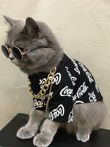 Собака и кошачья одежда весенняя куколка кошачья домашняя кошка бренд с сеть