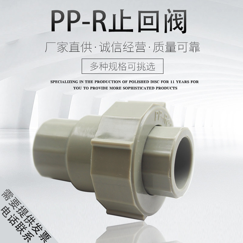 202532PPR check valve check valve plastic fittings check valve 4 minutes 1 inch PPR water pipe fittings