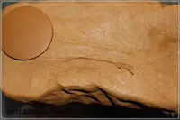 Манго желтый