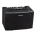 Loa Guitar Roland / Roland AC-33RW AC-40 Hộp điện Guitar Acoustic Âm thanh biểu diễn ngoài trời - Loa loa loa bmb 850 Loa loa