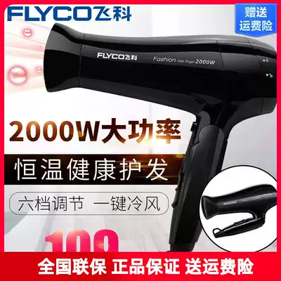 Feike household hair dryer high power fh6231 hair dryer student dormitory hair dryer hot and cold air constant temperature hair dryer